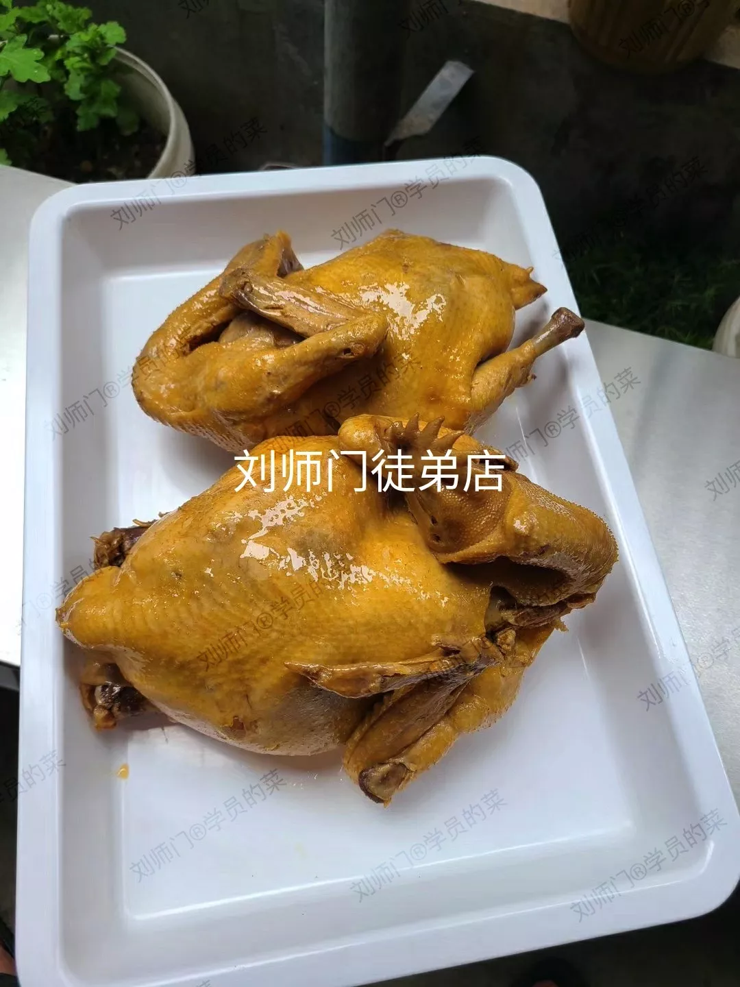 学员的菜-61.jpg