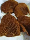 学员的菜-76.jpg
